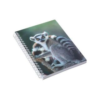 Obrázek z Notes 3D 12x17cm - lemur 
